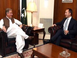 British High Commissioner Called on Foreign Minister FM Qureshi with British High Commission