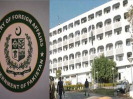 138 Pakistanis Die of coronavirus in different Countries MOFA