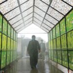 Disinfecting Walk Through Gates Can’t Kill Corona Virus Walk Through Gate