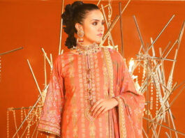 Alkaram Luxury Embroidered Dresses Collection 2020 Alkaram Dresses Collection 2020