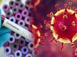 Coronavirus Cases in Pakistan Jumps to 16817 and 385 Fatalities Coronavirus