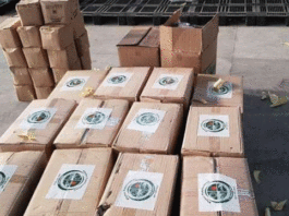 PDMA Deliver safety equipment to 49 KP hospitals PDMA