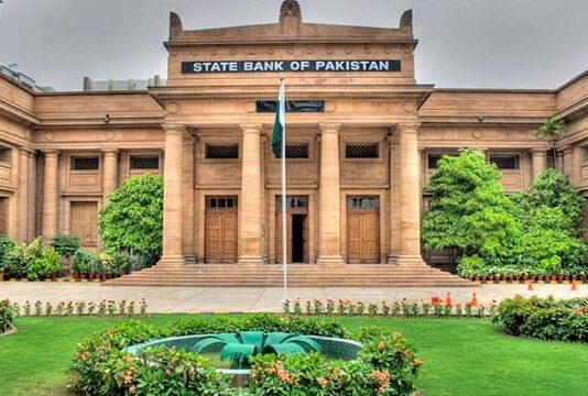 Foreign Exchange Reserves of Pakistan Fall by 85 Million Dollors State Bank of Pakistan