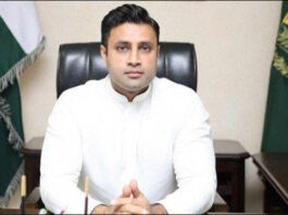 Special Measures for Overseas Pakistanis to be Taken: Zulfiqar Bukhari Zulfiqar Bukhari