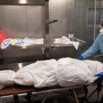 Coronavirus Death Toll of France Surged to 24000 24000 Coronavirus deaths in France