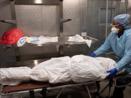 Coronavirus Death Toll of France Surged to 24000 24000 Coronavirus deaths in France