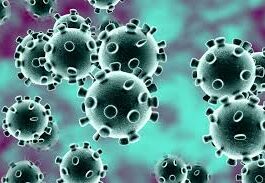 Global coronavirus cases cross 6-million mark Coronavirus