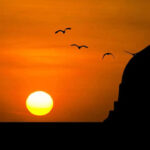 PM Imran Khan order PTV to Live Broadcast Tarawih Prayers Ramdan 2020