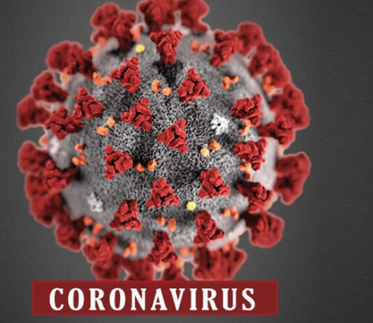3.5 Million Worldwide Cases of COVID-19 Reported Coronavirus