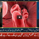 Jamhoor With Fareed Rais 1st May 2020 Jamhoor With Fareed Rais 1st May 2020