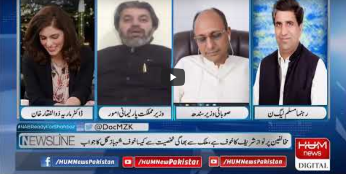 Newsline with Maria Zulfiqar 30th May 2020