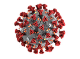 Coronavirus Cases in Pakistan Jumps to 61227 and 1260 Fatalities Coronavirus Cases in Pakistan Increased to 61227 and 1260 Deaths