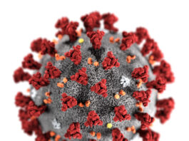 Coronavirus Cases in Pakistan Increased to 40151 and 873 Deaths Coronavirus Cases in Pakistan Increased to 40151 and 873 Deaths