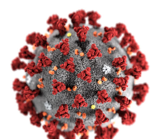 Coronavirus Cases in Pakistan Increased to 40151 and 873 Deaths Coronavirus Cases in Pakistan Increased to 40151 and 873 Deaths