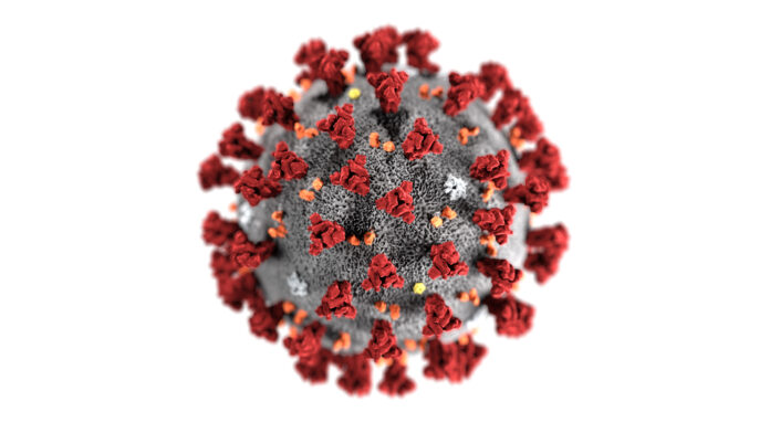 Coronavirus Cases in Pakistan Increased to 61227 and 1260 Deaths