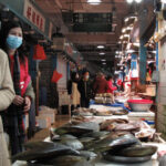 Wuhan officially bans eating wild animals Epicenter of COVID-19 Pandemic