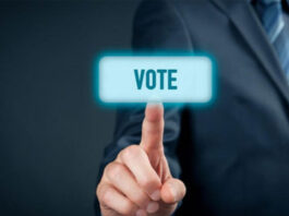 Federal Govt Decides to Give I-Voting Rights to Overseas Pakistanis Internet Voting
