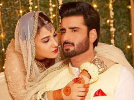 Hina Altaf, Aagha Ali Ties Knot in a Private Ceremony Hina Altaf Aagha Ali