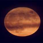 Exclusive: Trump Administration Drafts Artemis Moon Pact Agreement Pact – Sources rump Administration Drafting