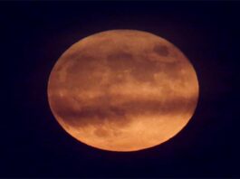 Exclusive: Trump Administration Drafts Artemis Moon Pact Agreement Pact – Sources rump Administration Drafting