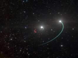 The Next Black hole on Earth has two Partners in Shocking Celestial Marriage The Next Black hole on Earth has two Partners