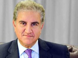 Forces Try to Harm Pakistan Through Various Ways: FM Qureshi Shah Mahmood Qureshi Phones His Japanese Counterpart