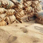 Sindh Govt Imposes Ban on Transportation of Wheat Ban on Transportation of Wheat