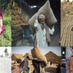 World Labour Day Being Observed Today World Labour Day