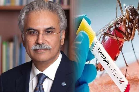 National Dashboard to be Established for Dengue Virus : Zafar Mirza National Dashboard to be Established for Dengue Virus