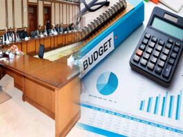 Federal Government Prepares Budget for 2020-21 Budget 2020-21