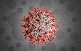 Coronavirus Cases in Pakistan Jumps to 45898 and 985 Fatalities Coronavirus cases in Pakistan Increased to 42125 and 903 Deaths
