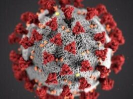 Coronavirus Cases in Pakistan Increased to 29,465 and 639 Deaths Coronavirus Cases in Pakistan Increased