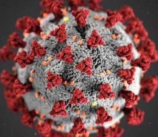 Coronavirus Cases in Pakistan Increased to 29,465 and 639 Deaths Coronavirus Cases in Pakistan Increased