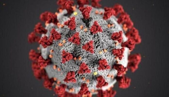 Coronavirus Cases in Pakistan Increased