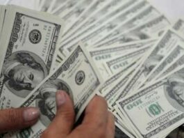 USD appreciated against Pakistani Rupee USD appreciated against Pakistani Rupee