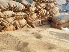 Punjab Govt Confiscates 2,550 Wheat Bags in Gujranwala Punjab Govt Confiscates 2,550 Wheat Bags in Gujranwala