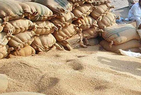Wheat Bags worth of Rs 7 billion Missing in Sindh Wheat Case in Sindh