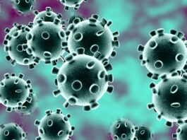 Coronavirus Cases in Pakistan Increased to 103,671 and 2,067 Deaths Coronavirus Cases in Pakistan Increased to 103,671 and 2,067 Deaths