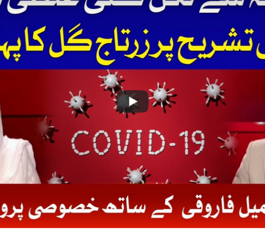 Tajzia with Sami Ibrahim 22nd June 2020 Tajzia with Sami Ibrahim 22nd June 2020