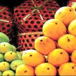 30% Reduction in PIA Cargo Fares for Mango Exports 30% Reduction in PIA Cargo Fares