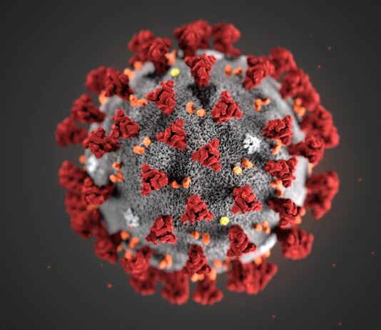 Coronavirus Cases in Pakistan Increased to 72460 and 1543 Deaths Coronavirus Cases in Pakistan Increased to 72460 and 1543 Deaths