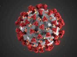 Coronavirus Cases in Pakistan Increased to 113,702 and 2,225 Deaths Coronavirus Cases in Pakistan Increased to 113,702 and 2,225 Deaths