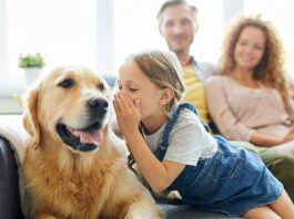 Humans Will Be Able To Talk To Pets; Says Japanese Ministry Of Science Humans Will Be Able To Talk To Pets