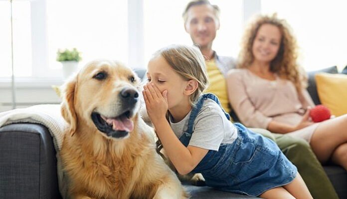 Humans Will Be Able To Talk To Pets