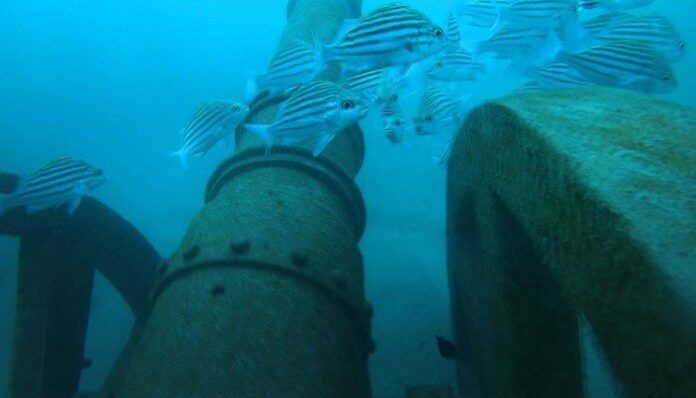 The First Underwater Museum Opens for the Public