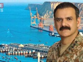 Some Critics Who Give The Wrong Impression of Slowness in CPEC: Asim Bajwa Asim Saleem Bajwa