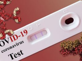 The Sindh Chief Minister Announced 1949 Latest Cases of Covid-19 Covid-19 Test in Sindh