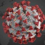 The Death Toll From The Covid-19 in Brazil Has Risen To 50,000 Covid-19 in Brazil