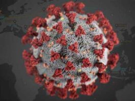 The Death Toll From The Covid-19 in Brazil Has Risen To 50,000 Covid-19 in Brazil