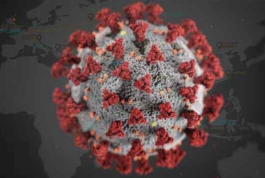 The Death Toll From The Covid-19 in Brazil Has Risen To 50,000 Covid-19 in Brazil